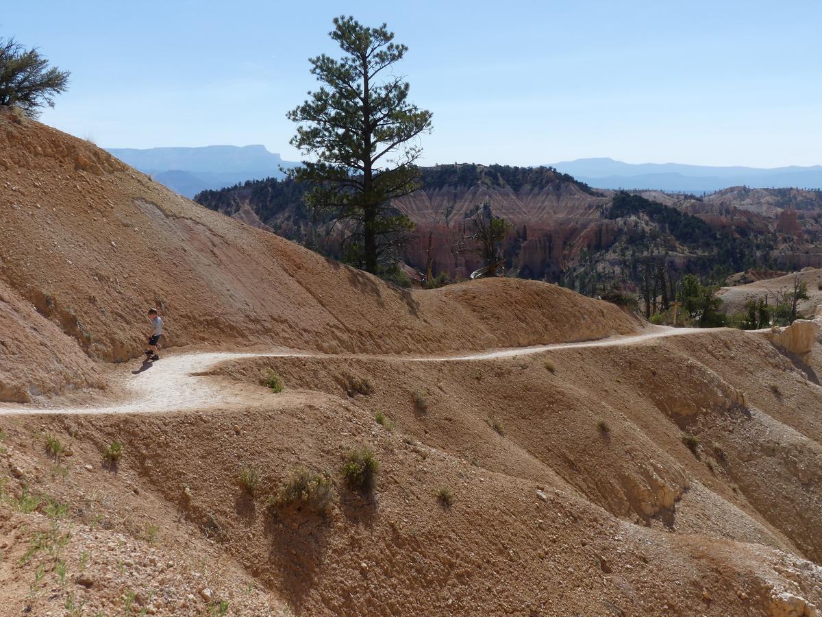 Villa Private, Charming Cabin - Sleeps 5 - The Evergreen - Bryce Canyon National Park à Cannonville Extérieur photo